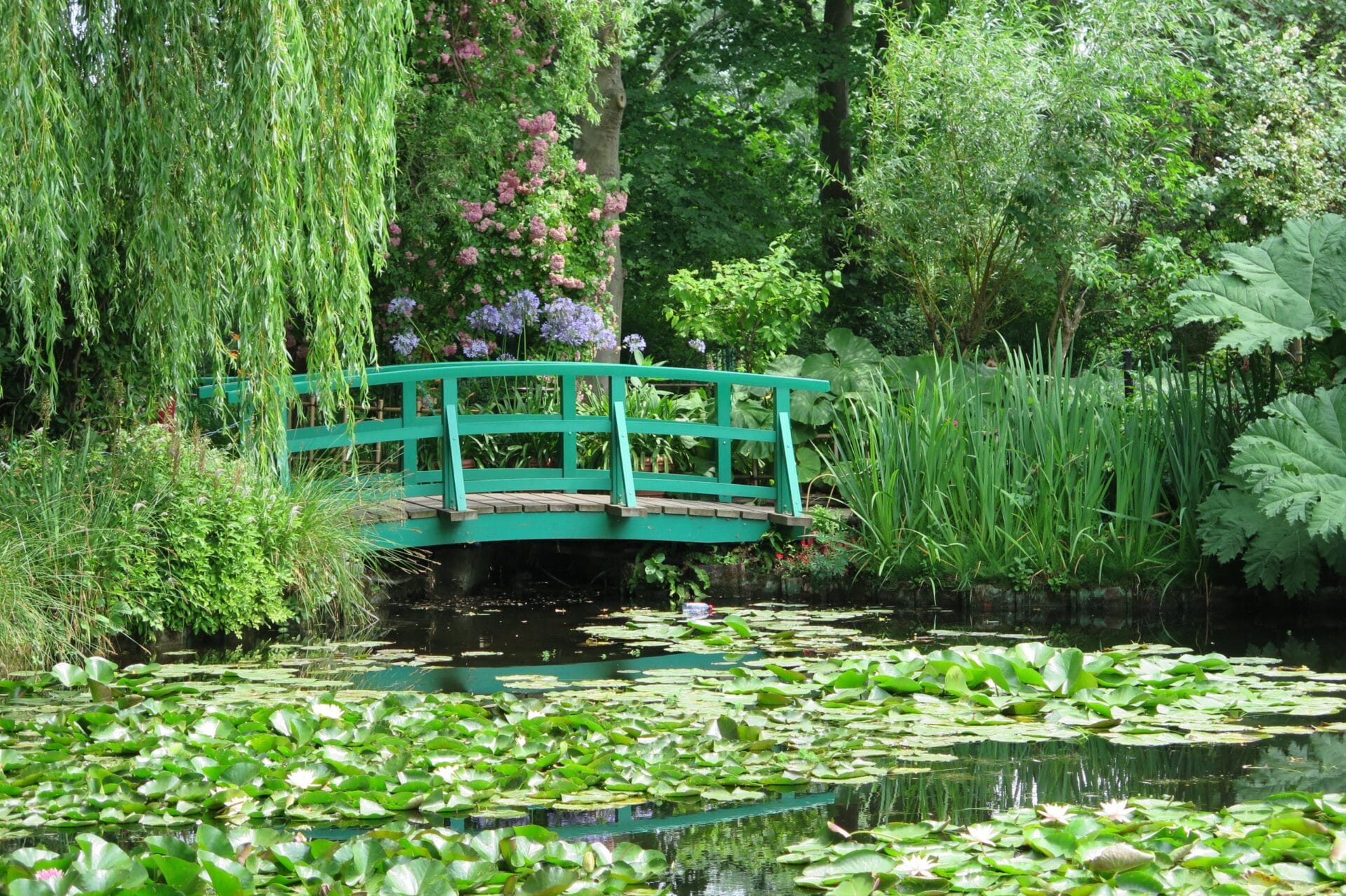 nympheas giverny